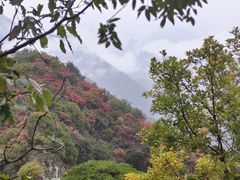 -秦岭终南山世界地质公园翠华山景区
