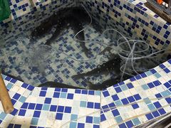 -山妹子铁锅炖