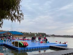 -上海海湾国家森林公园