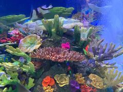 -成都浩海立方海洋公园