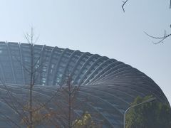 -凤凰中心