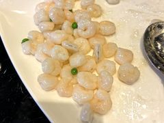 -新南华大酒店(广中店)