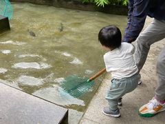 -大理老字号·舟渔的鱼野生菌海景餐厅(双廊店)