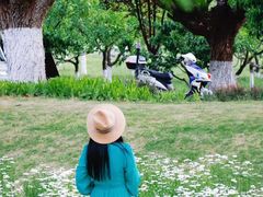 -汉长安城未央宫国家考古遗址公园