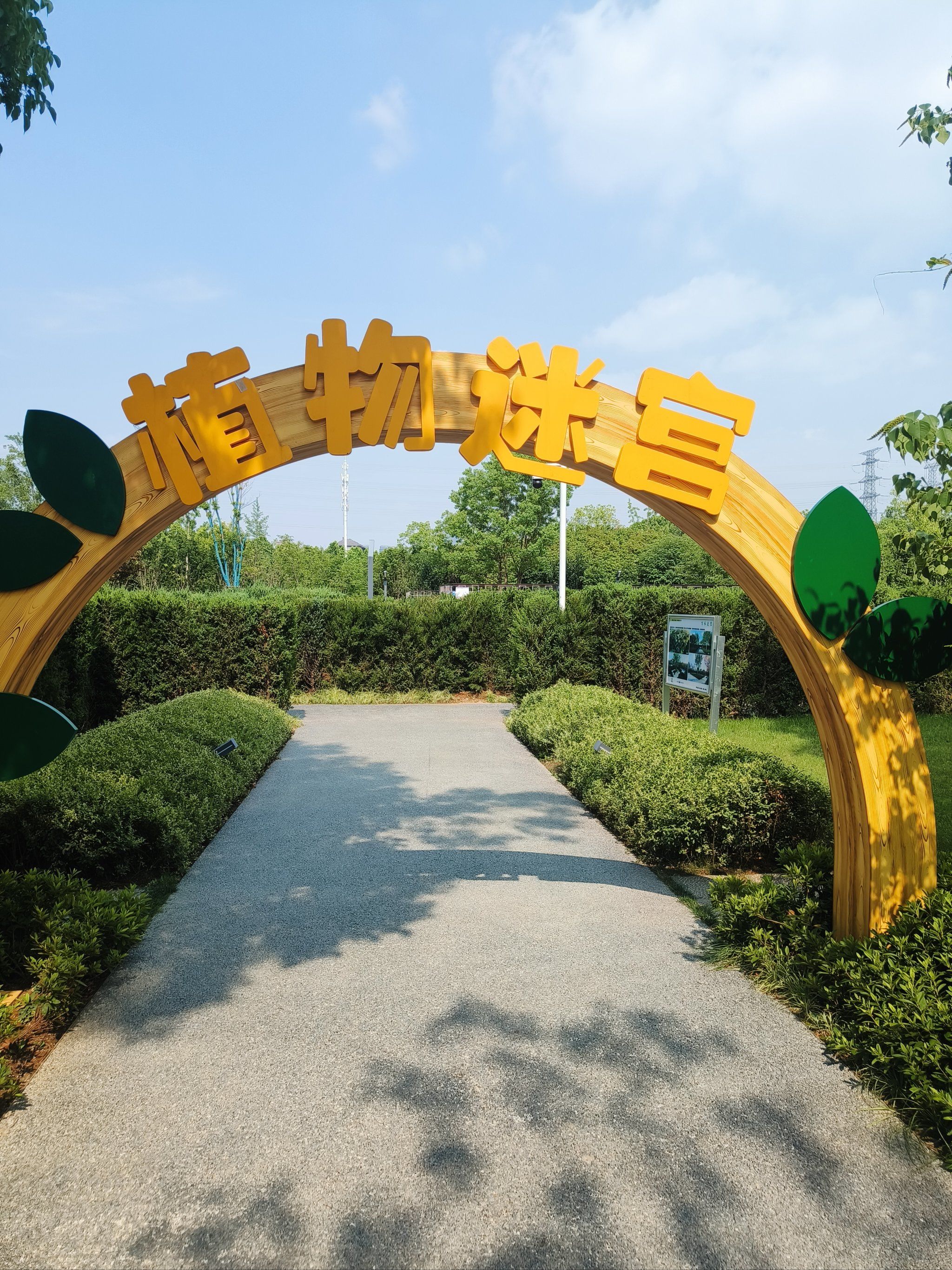 0元玩转这座城 清溪公园的植物迷宫挺有意思的