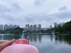 -重庆彩云湖湿地公园