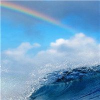 -薇兰专业脱毛连锁机构