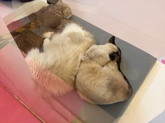 -天河领展广场