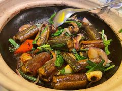 黄鳝啫啫煲-惠食佳(滨江大公馆店)