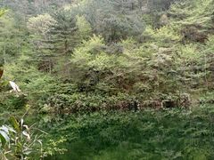 -罗田薄刀峰风景区