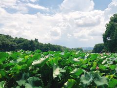 -杭州西湖风景名胜区-北街寻梦