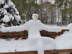 -长白岛森林公园