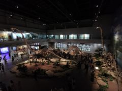 -自贡恐龙博物馆