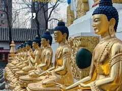 -护国法轮寺