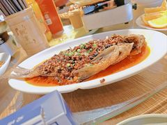 -印象鲵宴·张家界地标美食名片(溪布街店)