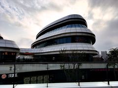 -野狸岛