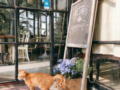 -NOTOOCAFE不二咖啡馆(岩前店)