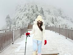 -洛阳白云山景区