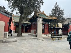 -药王庙(安国市)