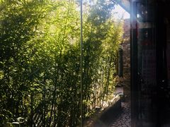 -竹雨堂创意中国菜(裕华店)