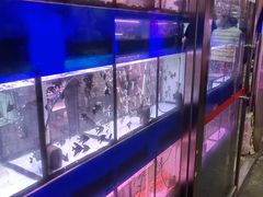 -花鸟鱼虫鲜花绿植市场(玉泉路店)