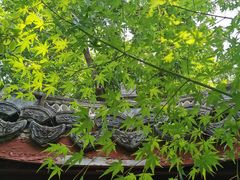 -上海醉白池公园