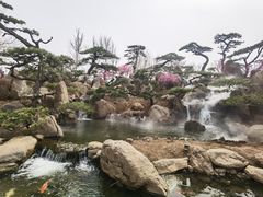 -罗红摄影艺术馆