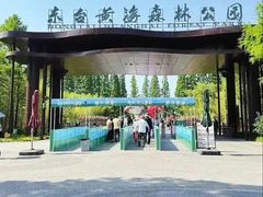 -黄海国家森林公园