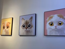 -洗脸猫·洗脸吧