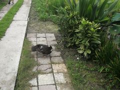 -洪湖家庭农场·团建·露营·会议