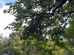 -浙江西子宾馆·瑶园咖啡厅