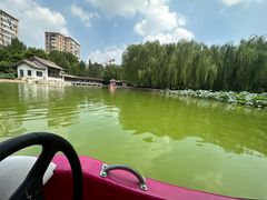 -团结湖公园