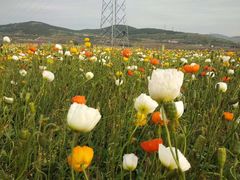 -艾山风景名胜区