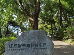 -北极阁公园