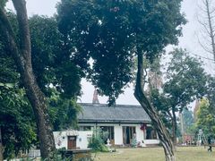 -张坝桂圆林公园