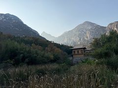 -禅宗少林·音乐大典