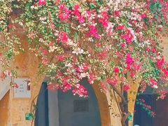 -广东紫坭糖厂(桥头路)