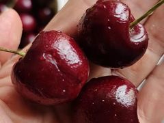 -上海龙吴水胜海发市场