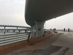 -演武大桥观景平台