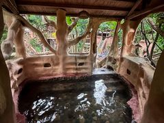 -天门沟九州驿站树上汤泉