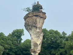 -鲁镇
