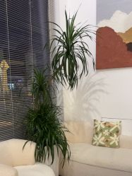 -MEMO Skin漫溯皮肤管理