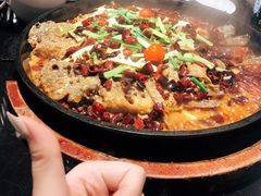 -老板恋上鱼(荣盛广场店)