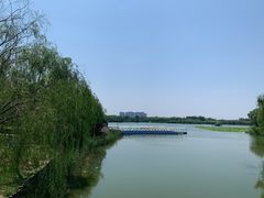 -大兴滨河森林公园