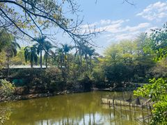 -大夫山顺驰自助烧烤场