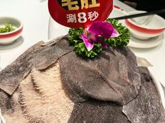 -陈记顺和潮汕牛肉火锅(番禺迎宾大道店)