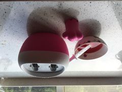 iphone_upload_pic-85度C(南京龙江店)