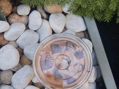 -Something For(中洲湾店)