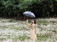 -白鹭湾湿地公园