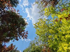 -龙潭大峡谷自然风景区